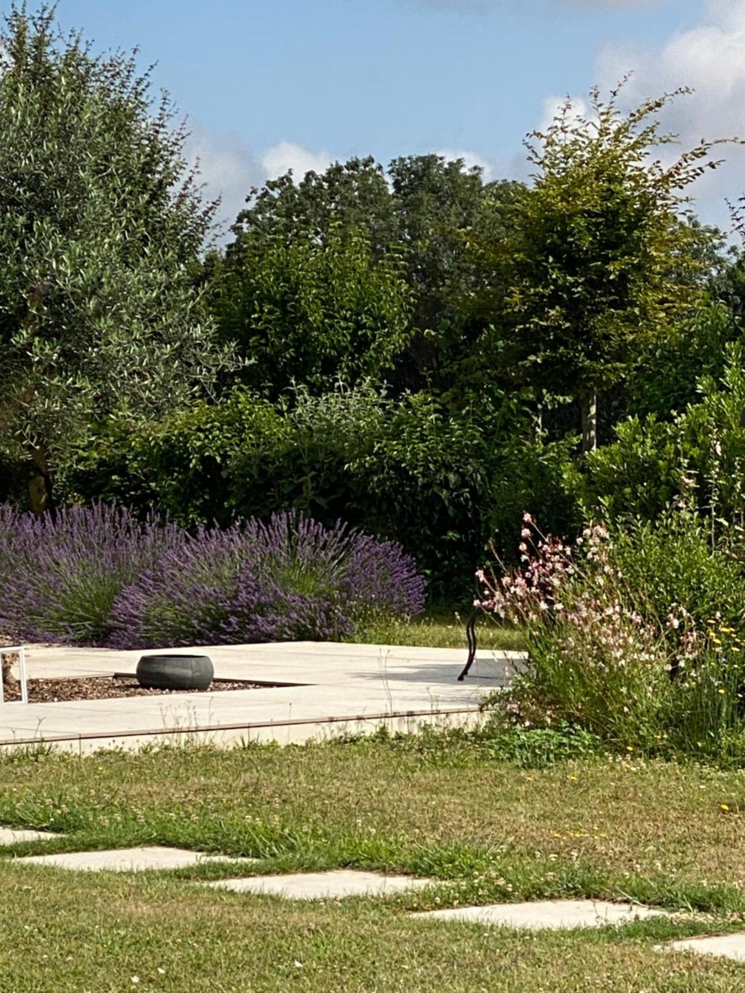 Bed and Breakfast La Chaumeauniere Aigrefeuille-dʼAunis Exterior foto